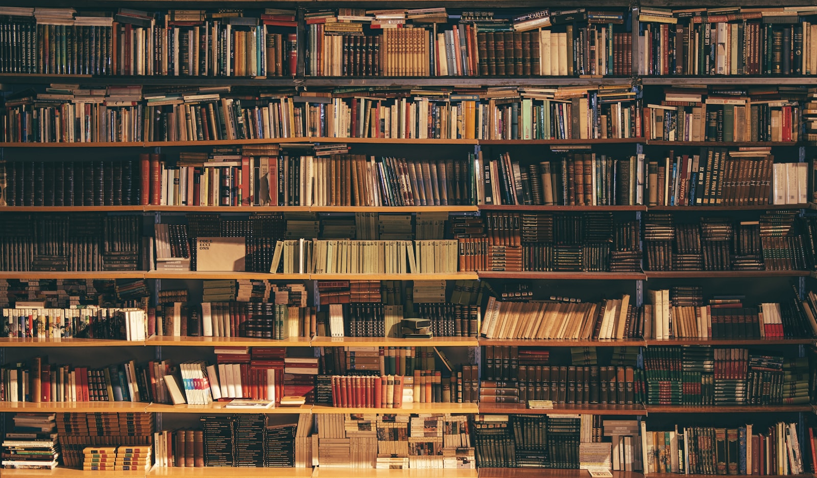 Rows of books in soft light, suggesting a catalog shelf.